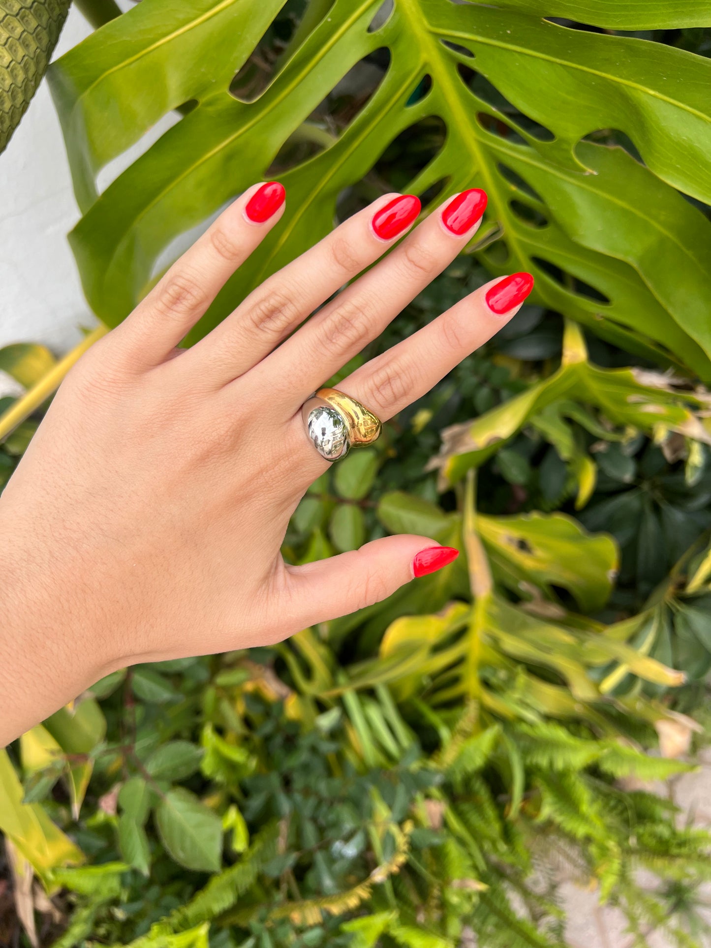 Anillo acero inoxidable
