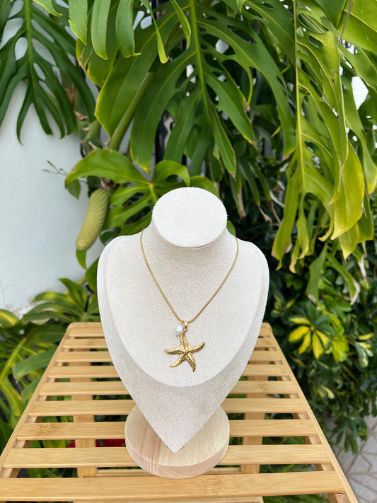 Collar acero inoxidable summer