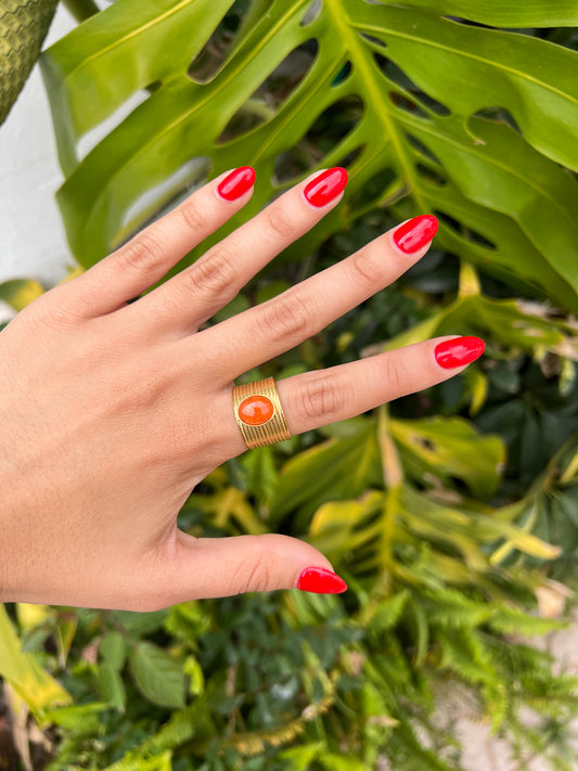Anillo acero inoxidable