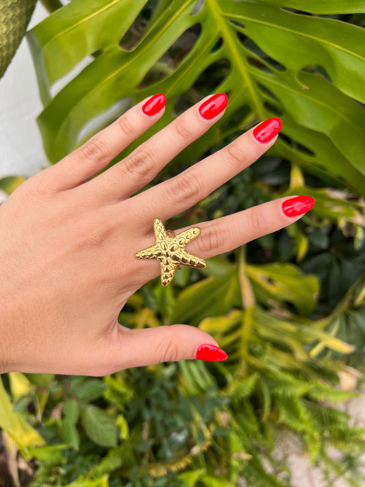 Anillo acero inoxidable
